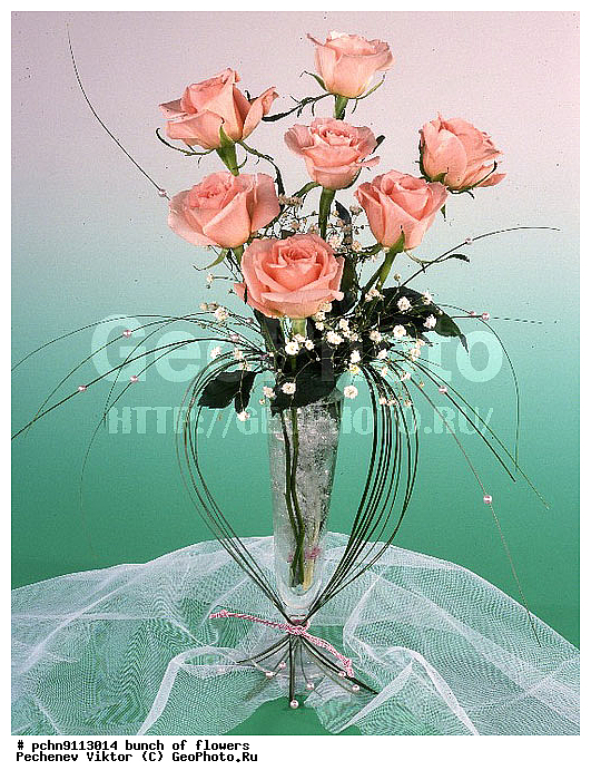 �����, ������, ������������, �����������