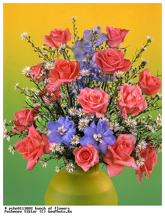 �����, ������, ������������, �����������