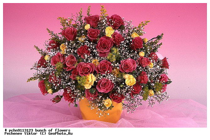 �����, ������, ������������, �����������