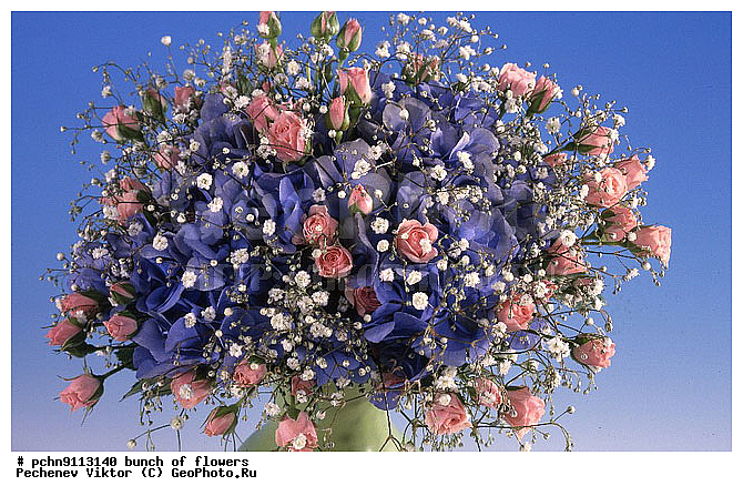 �����, ������, ������������, �����������