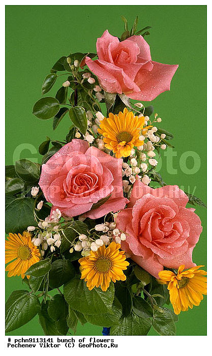 �����, ������, ������������, �����������