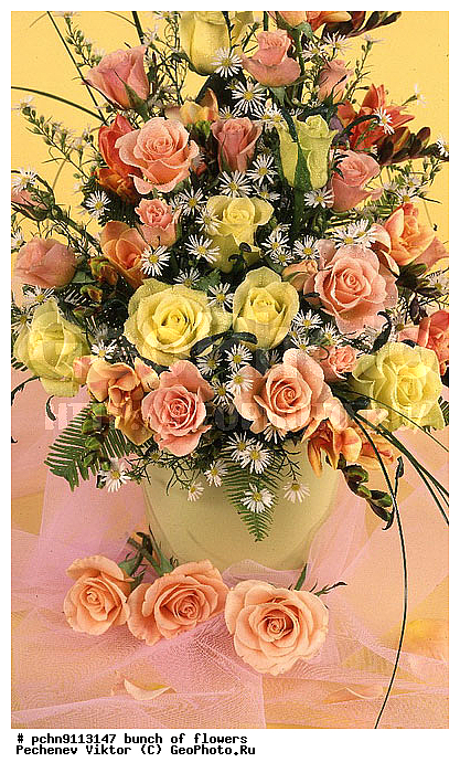 �����, ������, ������������, �����������