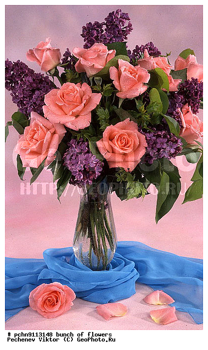 �����, ������, ������������, �����������