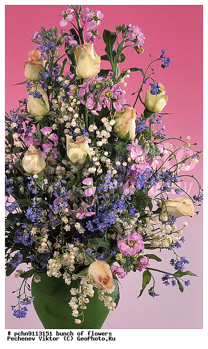 �����, ������, ������������, �����������