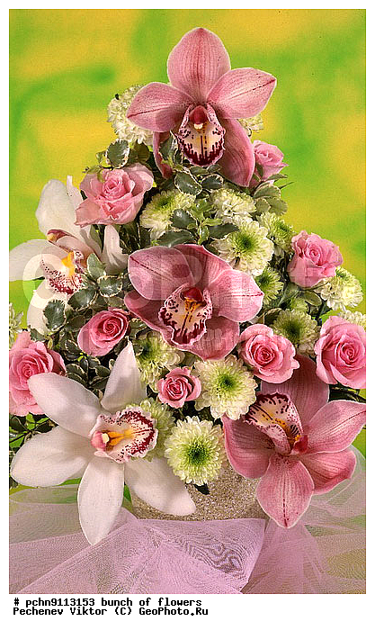 �����, ������, ������������, �����������