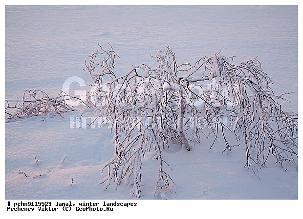 ������, ����, ����, �����������, �����������, ����, ������ ������, ����, �����, ����������, �����, ��������, ��������, ����, ������