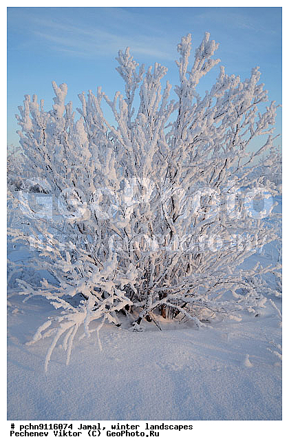 ������, ����, ����, �����������, �����������, ����, ������ ������, ����, �����, ����������, �����, ��������, ��������, ����, ������