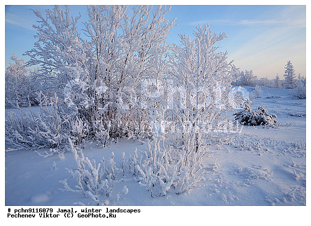 ������, ����, ����, �����������, �����������, ����, ������ ������, ����, �����, ����������, �����, ��������, ��������, ����, ������