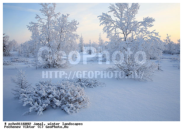 ������, ����, ����, �����������, �����������, ����, ������ ������, ����, �����, ����������, �����, ��������, ��������, ����, ������