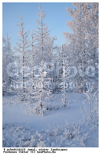 ������, ����, ����, �����������, �����������, ����, ������ ������, ����, �����, ����������, �����, ��������, ��������, ����, ������