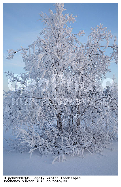 ������, ����, ����, �����������, �����������, ����, ������ ������, ����, �����, ����������, �����, ��������, ��������, ����, ������