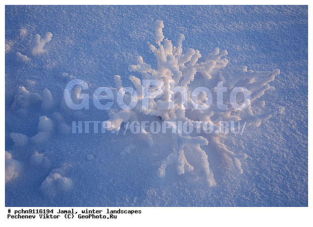 ������, ����, ����, �����������, �����������, ����, ������ ������, ����, �����, ����������, �����, ��������, ��������, ����, ������