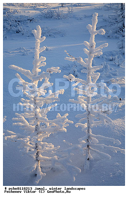 ������, ����, ����, �����������, �����������, ����, ������ ������, ����, �����, ����������, �����, ��������, ��������, ����, ������