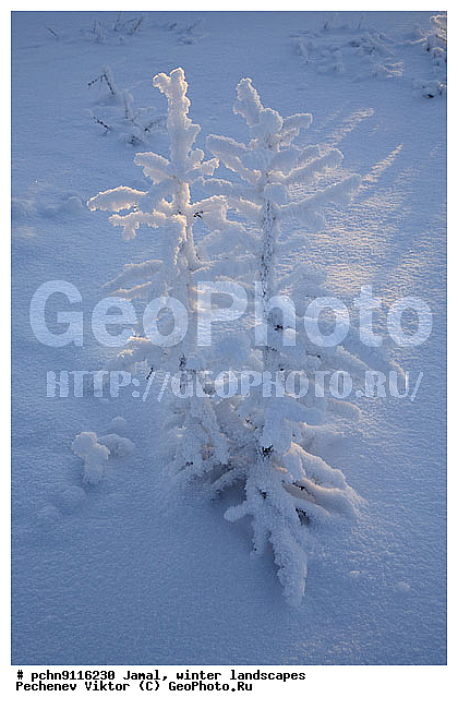 ������, ����, ����, �����������, �����������, ����, ������ ������, ����, �����, ����������, �����, ��������, ��������, ����, ������