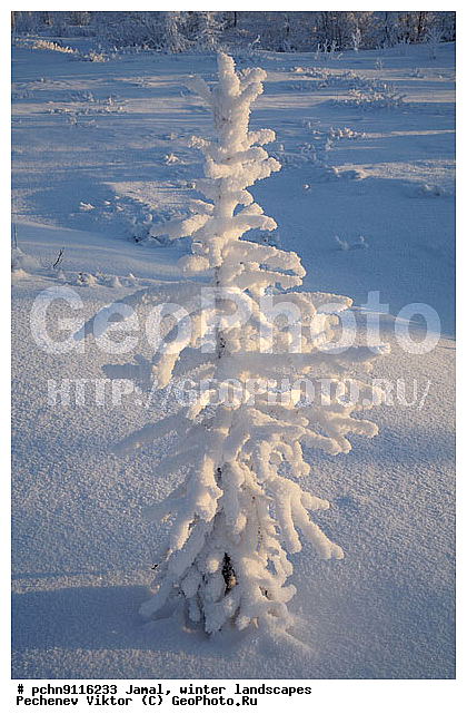 ������, ����, ����, �����������, �����������, ����, ������ ������, ����, �����, ����������, �����, ��������, ��������, ����, ������