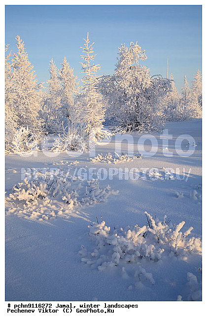 ������, ����, ����, �����������, �����������, ����, ������ ������, ����, �����, ����������, �����, ��������, ��������, ����, ������