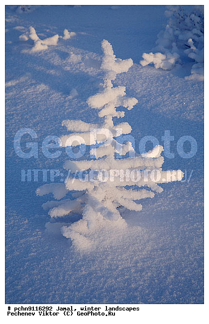 ������, ����, ����, �����������, �����������, ����, ������ ������, ����, �����, ����������, �����, ��������, ��������, ����, ������