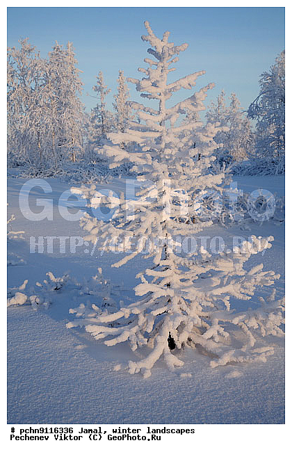 ������, ����, ����, �����������, �����������, ����, ������ ������, ����, �����, ����������, �����, ��������, ��������, ����, ������