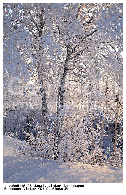 ������, ����, ����, �����������, �����������, ����, ������ ������, ����, �����, ����������, �����, ��������, ��������, ����, ������