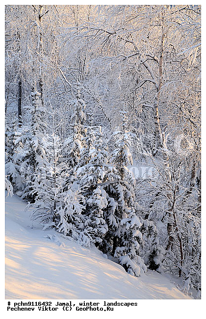 ������, ����, ����, �����������, �����������, ����, ������ ������, ����, �����, ����������, �����, ��������, ��������, ����, ������