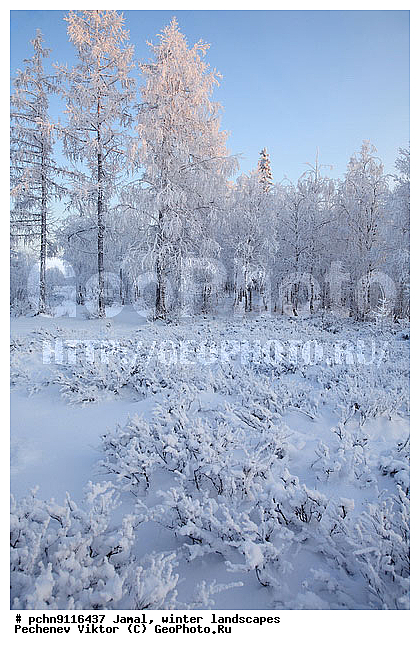 ������, ����, ����, �����������, �����������, ����, ������ ������, ����, �����, ����������, �����, ��������, ��������, ����, ������