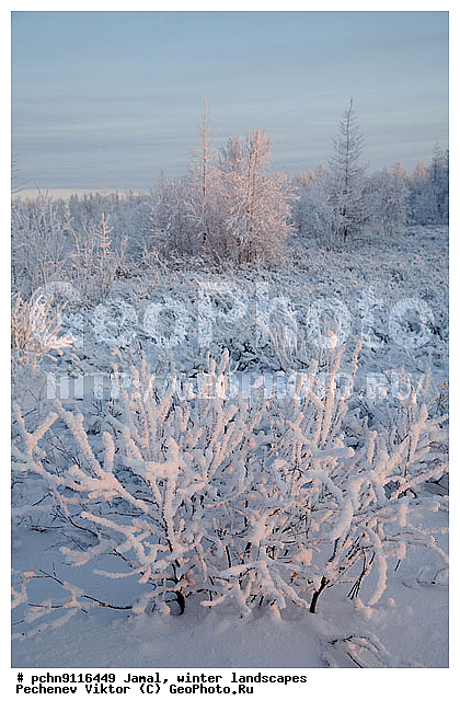 ������, ����, ����, �����������, �����������, ����, ������ ������, ����, �����, ����������, �����, ��������, ��������, ����, ������