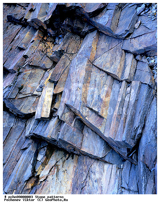 ������, ��������, �����, ��������, ��������, �������