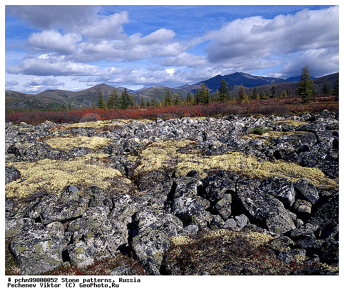 ������, ��������, �����, ��������, ��������, �������