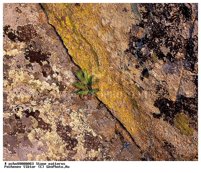 ��������, ������, ���������, ����������, �����, ��������, ��������, �������