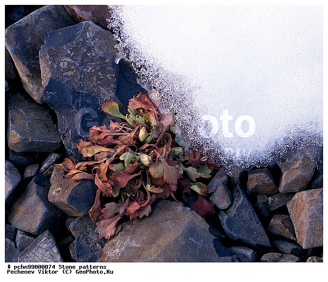 ����, ��������, ������, �����, ��������, ����, ��������, �������