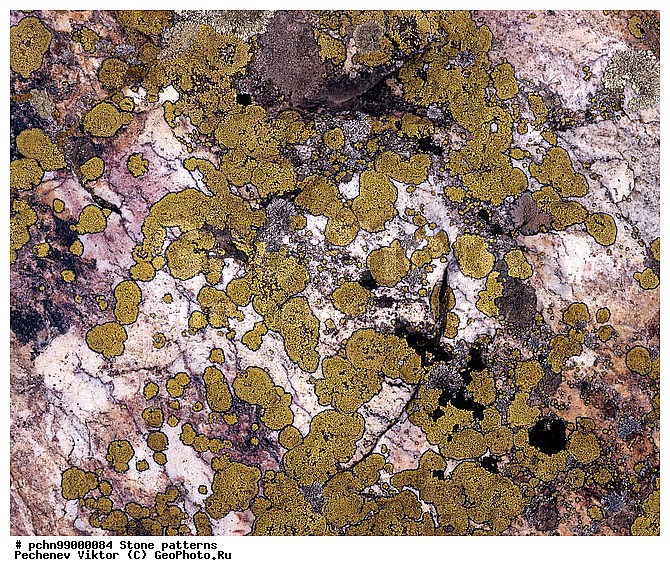 ��������, ������, ���������, �����, ��������, ��������, �������