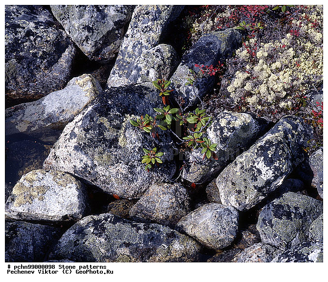 �����, ��������, ������, ���, �����, ��������, ��������, �������