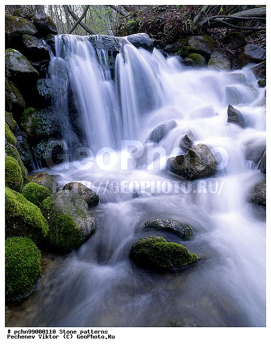 �����, �������, ��������, ������, �����, ����, ��������, �������