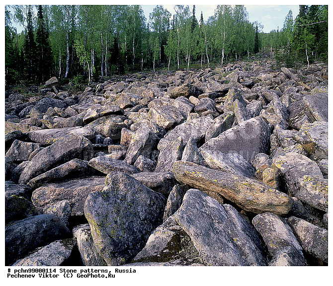 ������, ��������, �����, ��������, ��������, �������