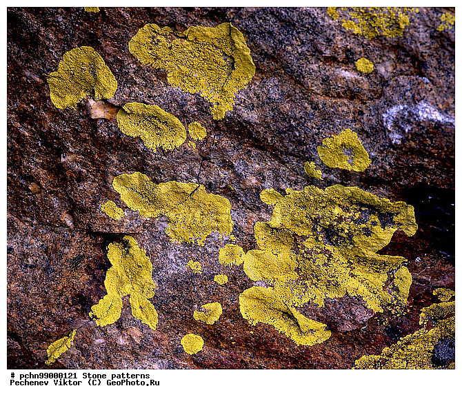 ��������, ������, ���������, �����, ��������, ��������, �������