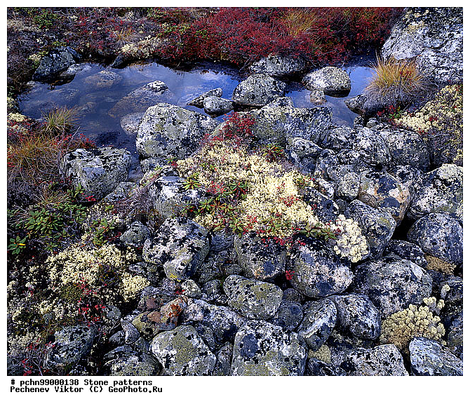 ������, ��������, �����, ��������, ��������, �������