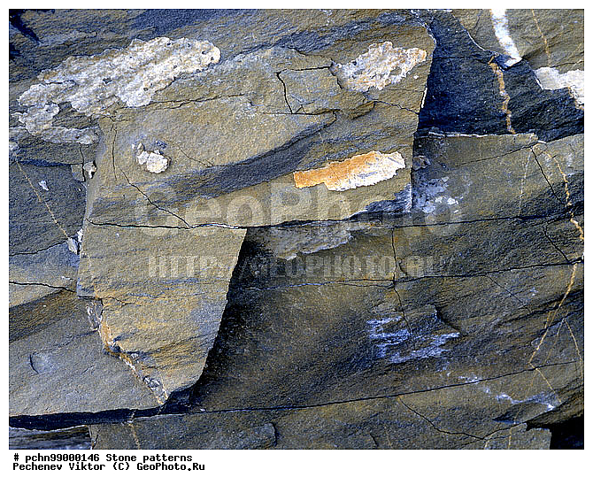 ������, ��������, �����, ��������, ��������, �������