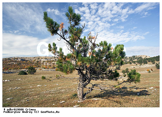 ��-�����, ����, �����, ������, ����, ������, ��������, �����, �����, ����