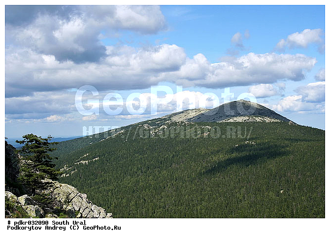 ��������, �������, ����, ����, ����, ����, ������