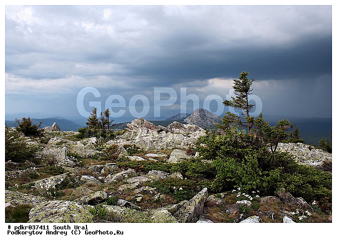 ��������, ��������� �������, �������, ����, ����� ����, ������, �������, ���, ���, ������, �����, ����, ��������, ������, �����, �����