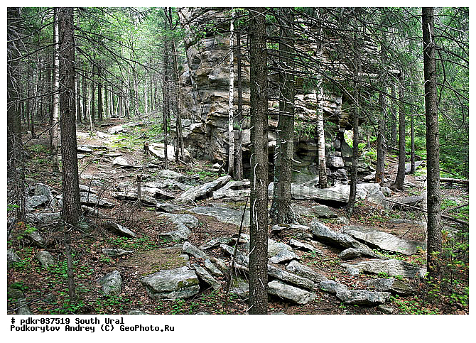 �������, ����, ����� ����, �����, ������, �������, ������, �����, ���, �������, ������, �������, �����, �����, ��� �����