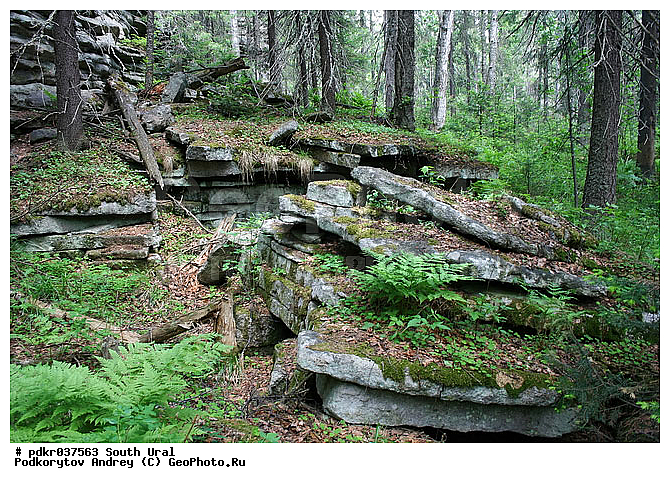 �������, �������, ������, �������, ������, ������, �����, ���, �������, ����������, ���������, �����, ��� �����, ����