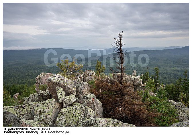 ����, �������, ����, ����� ����, ������, ���, ���, ������, �����, ���, �����������, ����, ������, �����, �����, ����� ������, �����