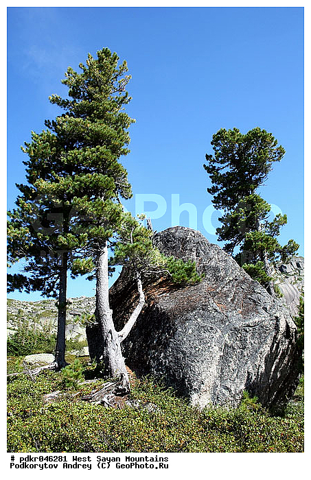 ������, �������� �����, ����, �����, ������, �����, ������, ������, �������, ���, ���, ������, �����, ���������, �����, �����, �����, �����