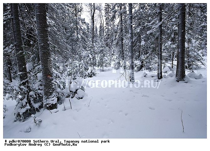 ������������ ����, �������, ����, ����� ����, �������, �����������, ����, ������ ���, ������ ������, ���, ����, �������, ������� ���, �����