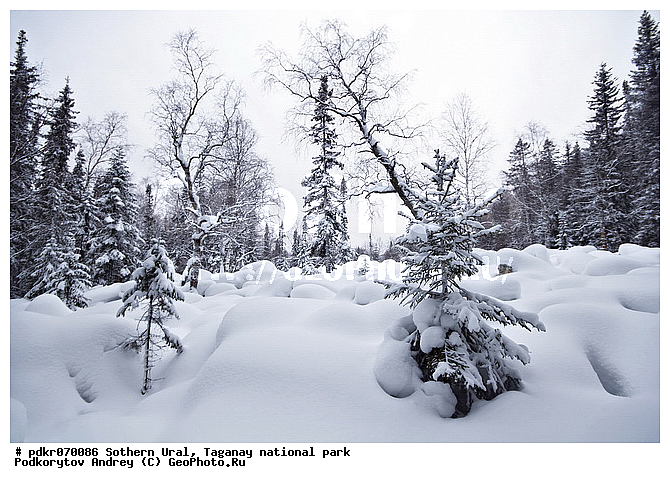 ������������ ����, �������, ����, ����� ����, ������, ���, �����������, ����, ������ ���, ������ ������, �������� ����, ������, �����, �����, ��������, ���, ����, ����, �������, �����, ������� ���, �����