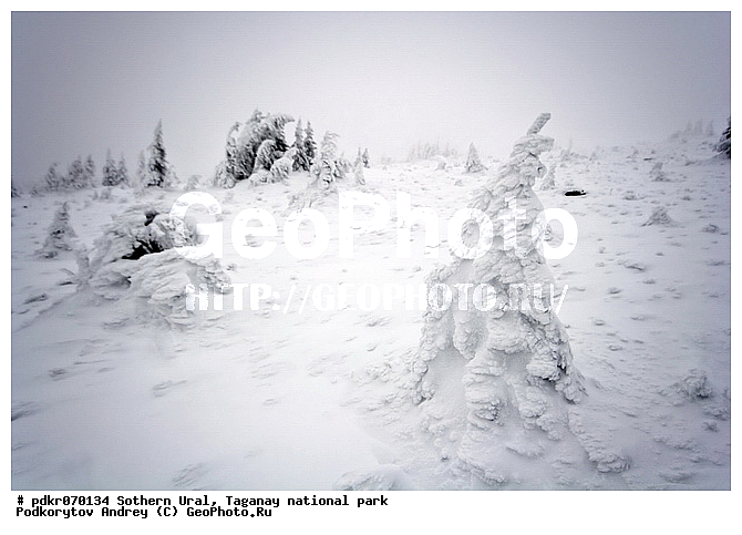 ������� �������, ������������ ����, �������, ����, ����� ����, ������, ���, ����������� ������, �����������, ����������� ���, ����, ������ ������, ������, �����, �����, ����, ������� ������, �������, ������� ������, �����, �����