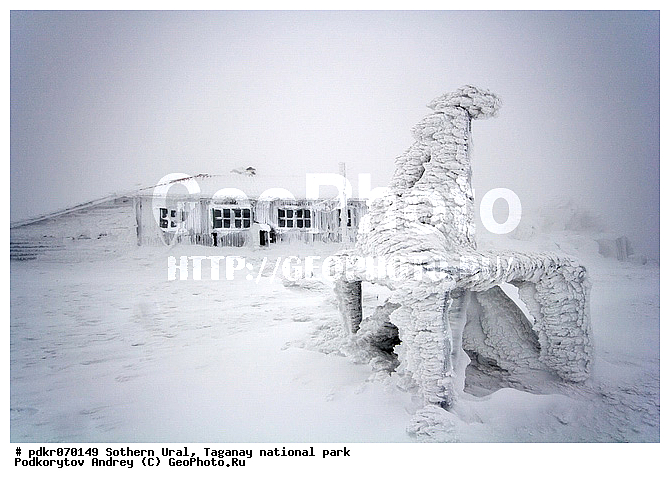 ������� �������, ������������ ����, �������, �������-����, ����, ����� ����, ���, ����������, �����������, ����, ������ ������, �������, ����������������� �������, ������������, ������, �����, �����, �������, ����, ������� ������, �������, ������� ������, ������