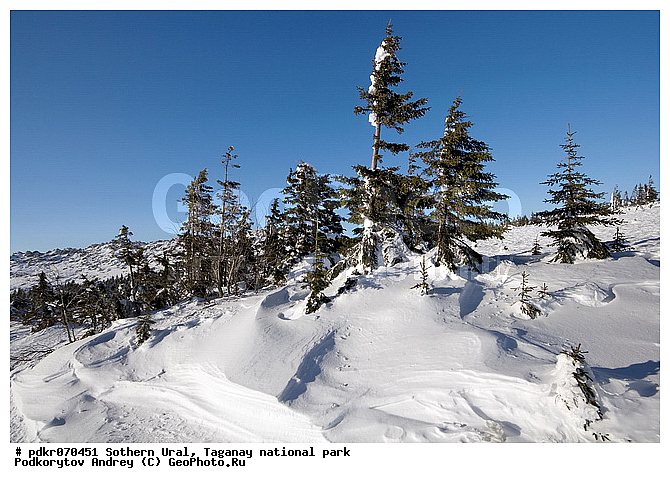 ������������ ����, �������, ����, ����� ����, ������, ����������� ������, �����������, ����������� ���, ����, ������ ������, ����, �������, ��������� ������ ����, �����