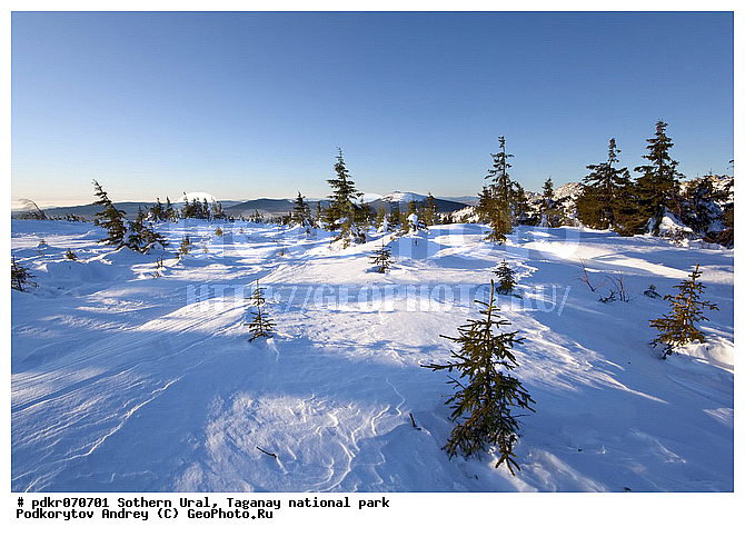 ������� �������, ��������, ������������ ����, �������, ����, ����� ����, ������, ���, ����������� ������, �����������, ����������� ���, ����, ������ ������, �����, ����, �������, ��������� ������ ����, �����, �����